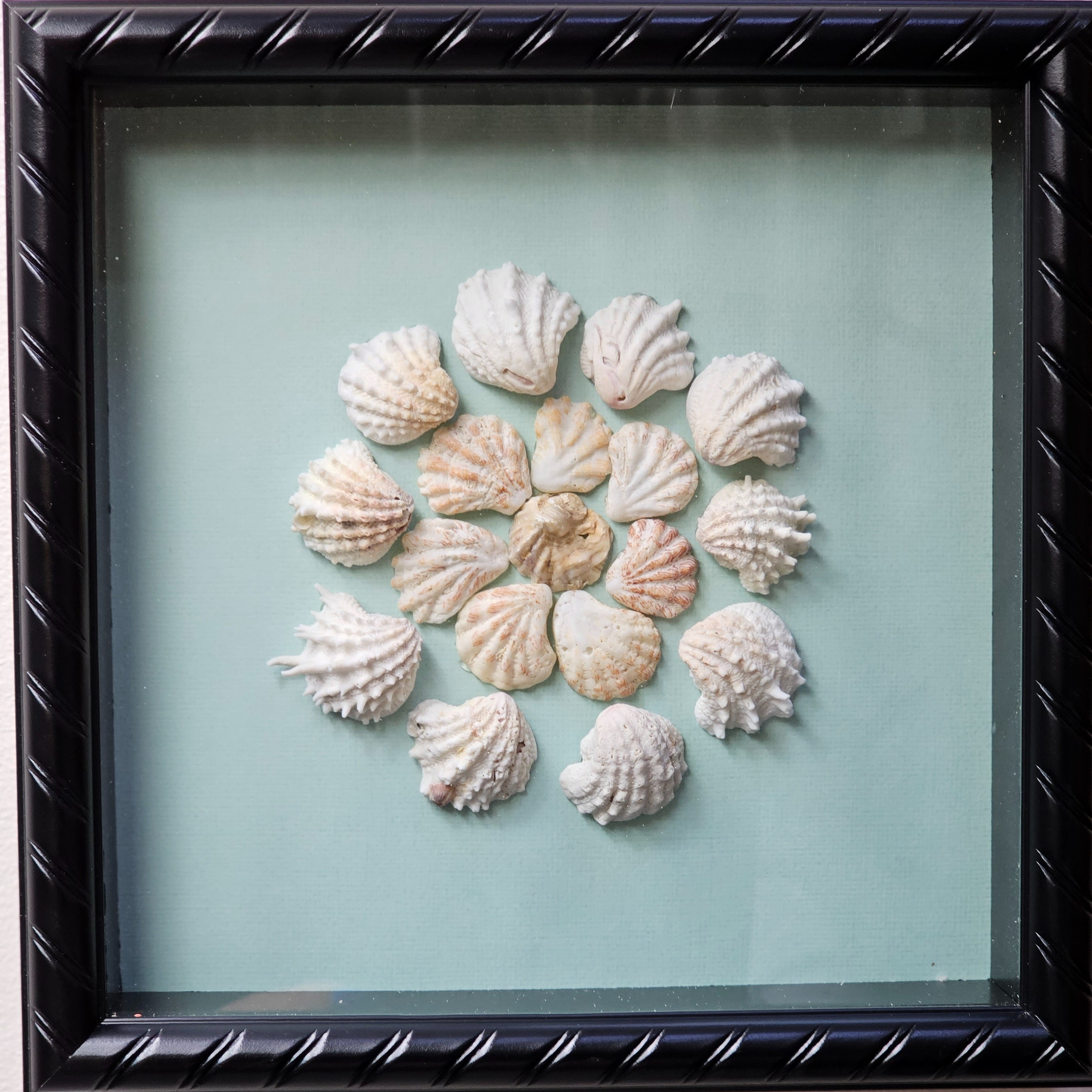 Shell Art Shadow Box