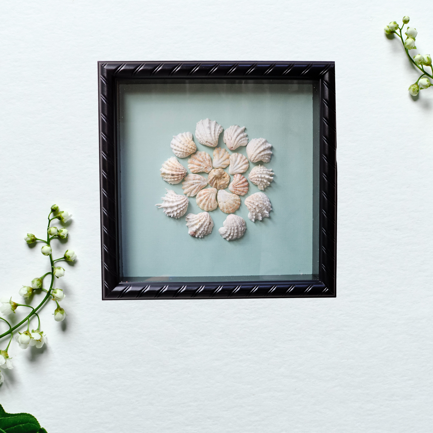 Shell Art Shadow Box