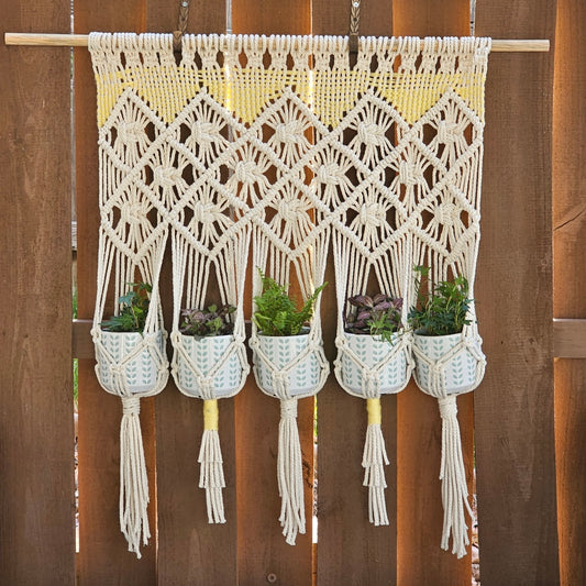 Wall mounted macrame plant hanger